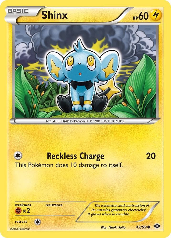 Shinx 43 Basic