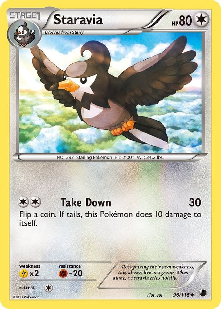 Staravia Stage 1