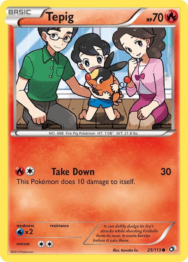 Tepig Basic