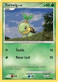Turtwig Basic