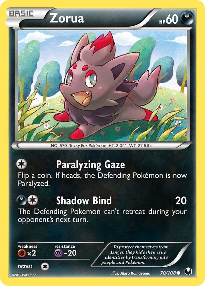 Zorua 70 Basic