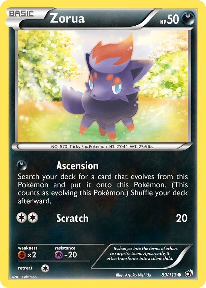 Zorua Basic