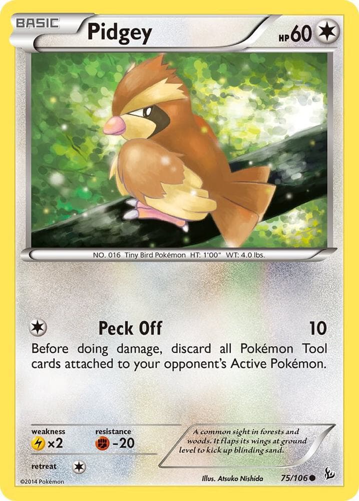 Pidgey Basic
