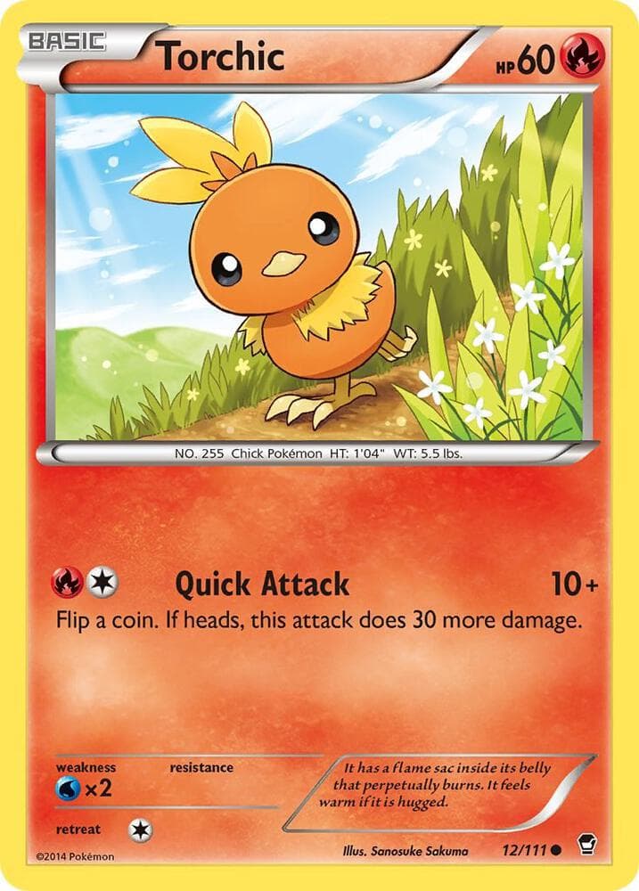 Torchic Basic
