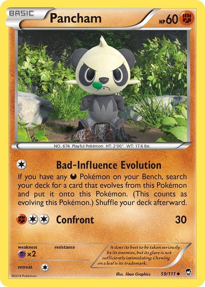 Pancham 59 Basic