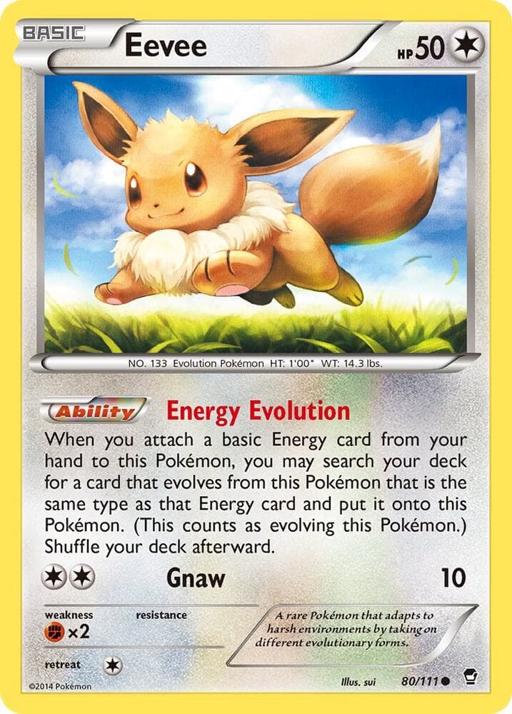 Eevee Basic