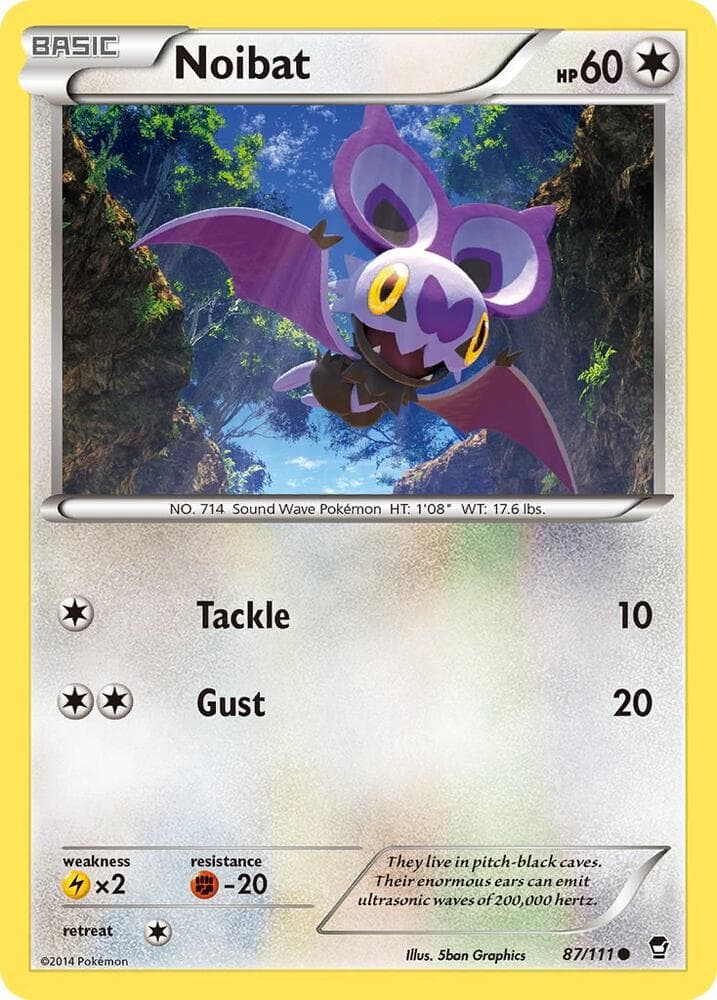 Noibat Basic