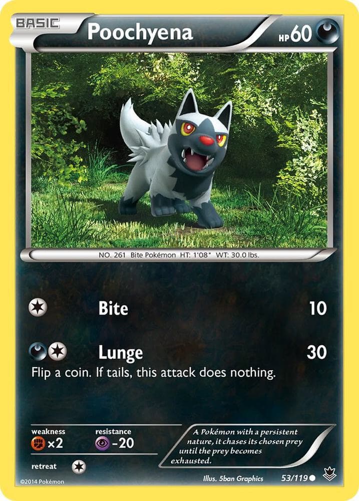 Poochyena Basic