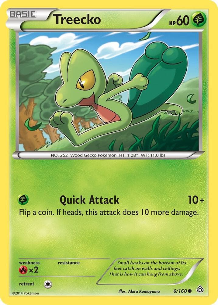 Treecko Basic