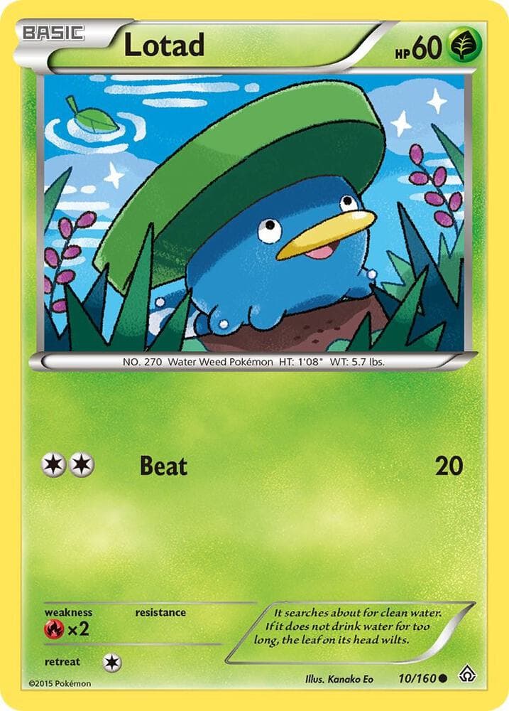 Lotad Basic