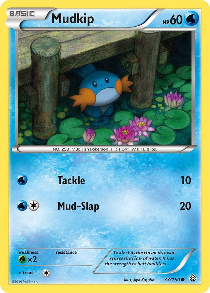 Mudkip Basic