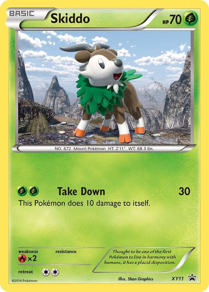 Skiddo XY11 Basic