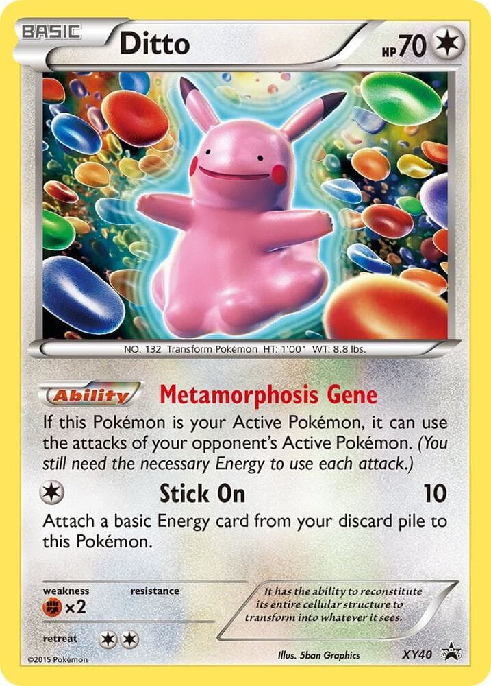 Ditto Basic