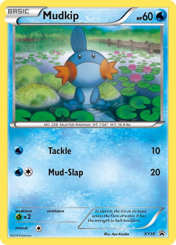 Mudkip XY38 Basic
